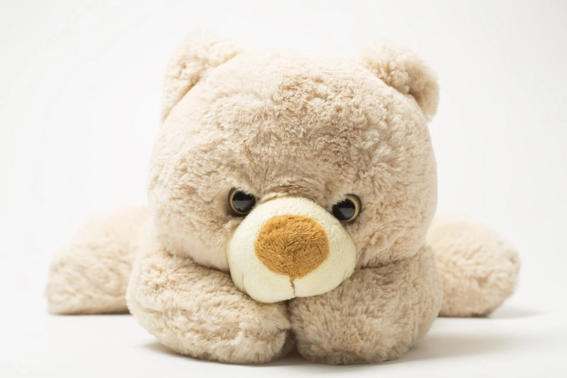 Giant Teddy Bear To Bring Smile To Your Family’s Faces