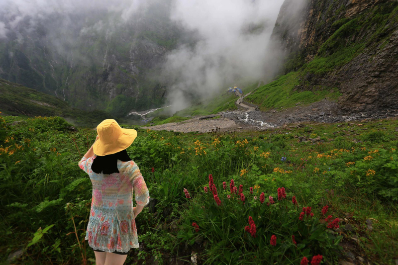 Discover the Valley of Flowers Trek: A Himalayan Floral Wonderland 