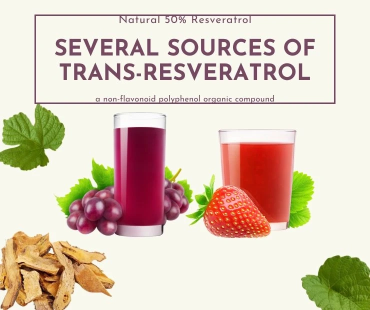 The Benefits and Uses of 50% Resveratrol