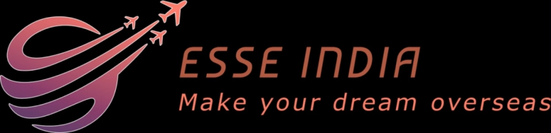 How Your Selected NOC Code Can Make or Break Your Express Entry PR Chances ESSE INDIA Expert Guide