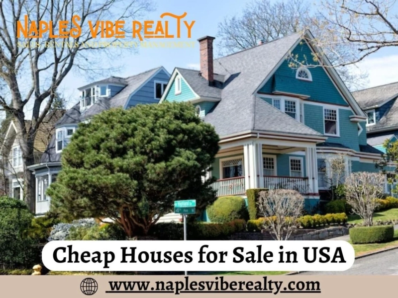 Exploring Affordable Opportunities: Cheap Houses for Sale in USA with Naples Vibe Realty