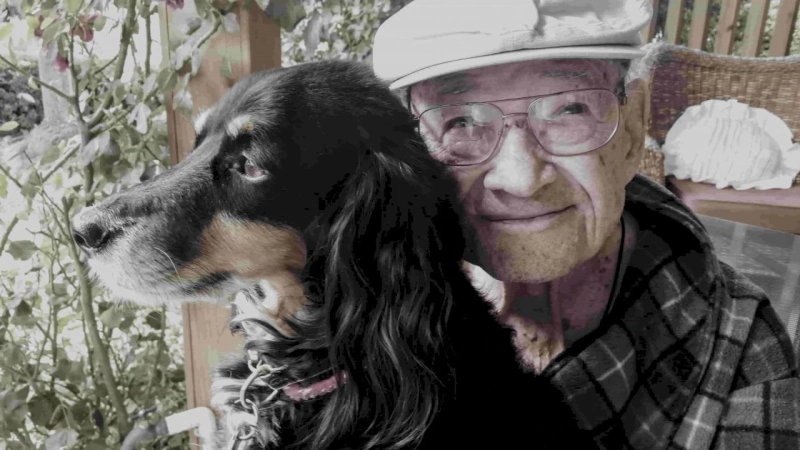 Pets Help Prevent Suicide Amongst the Elderly, New Research Reveals