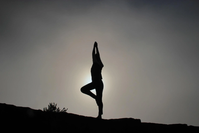 Navigating Health and Wellness in the Modern World