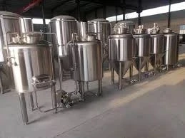 Stainless Steel Fermenter Market Analysis and Forecast (2024-2033)