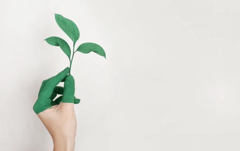 Unlock Your Inner Shine: Discovering Personal Growth Through the Power of Self-Care
