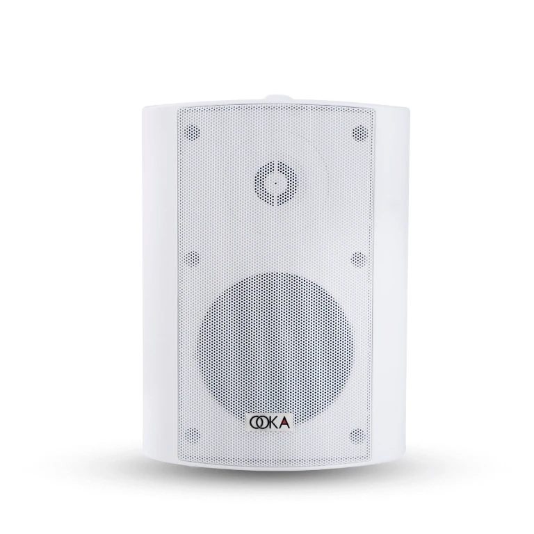 Wall Mount Speakers India - Smart Sound Solutions by Ooka Audio