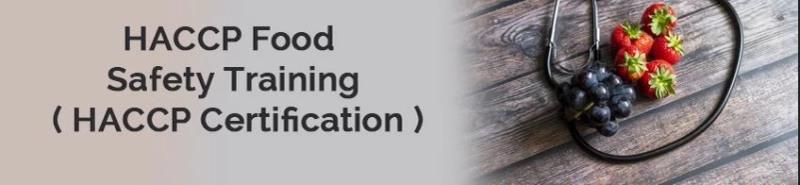 Internationally Recognized HACCP Certification – Apply Online Today