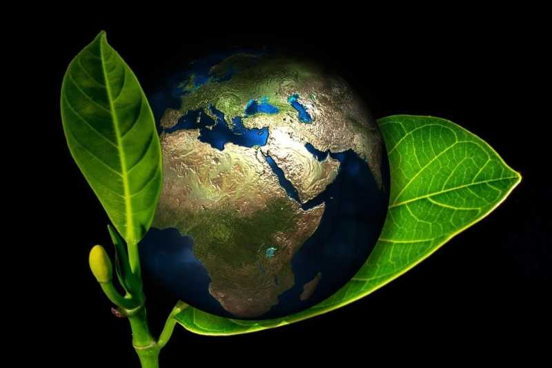 How Being Eco-Friendly Can Impact Your Business In 2022!