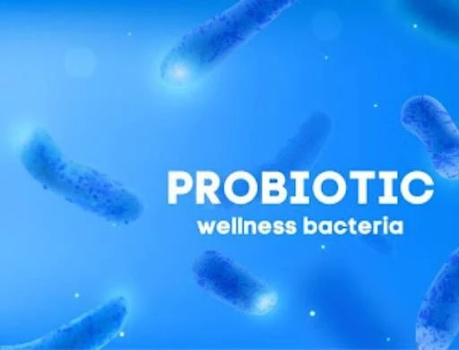 Probiotic manufacturers in India