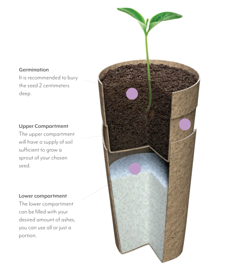 Biodegradable urn
