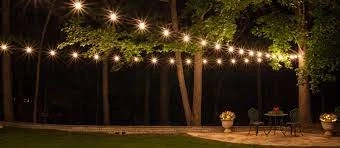 How to Choose the Right Commercial Lights for Your Business