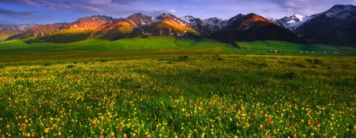 Himalayan Haven: Exploring the Valley of Flowers Trek