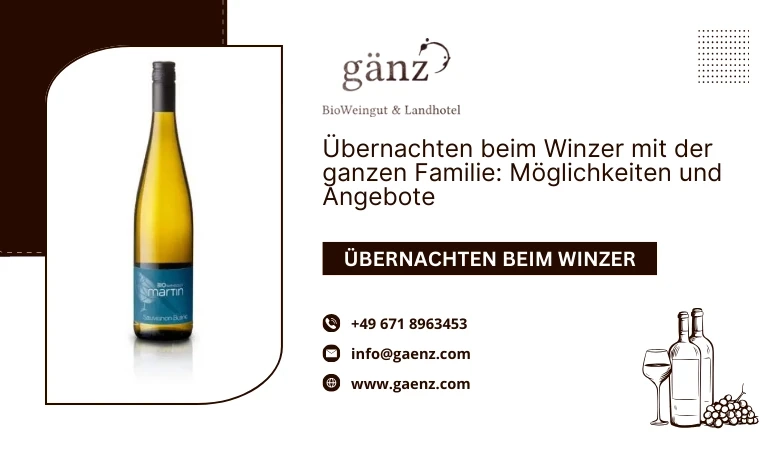 Übernachten beim Winzer mit der ganzen Familie: Möglichkeiten und Angebote 🍇🏡