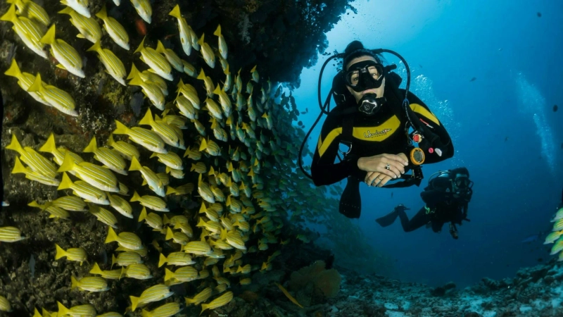 Scuba Diving Andaman – The Ultimate Underwater Adventure | The Vacation Voice