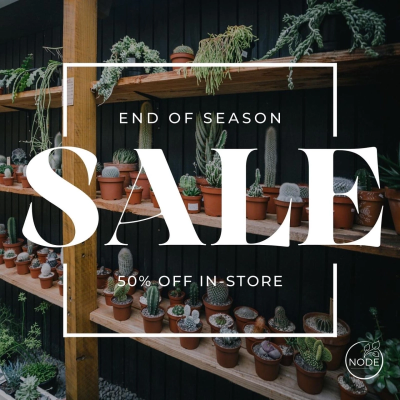 From a Coates Street Garage to Global Growth