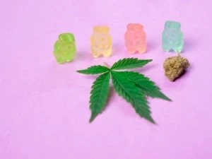 6 Ways to Consume Cannabis without Smoking