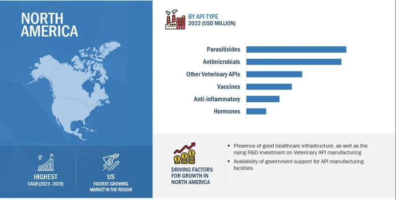 Key Players in the North American Veterinary API Market