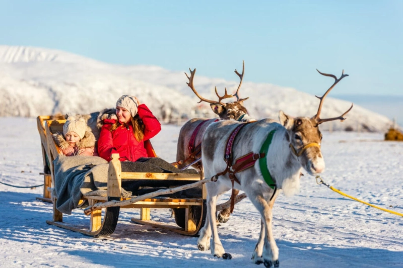 Ultimate Rovaniemi Safaris Guide for Unforgettable Arctic Winter Adventures