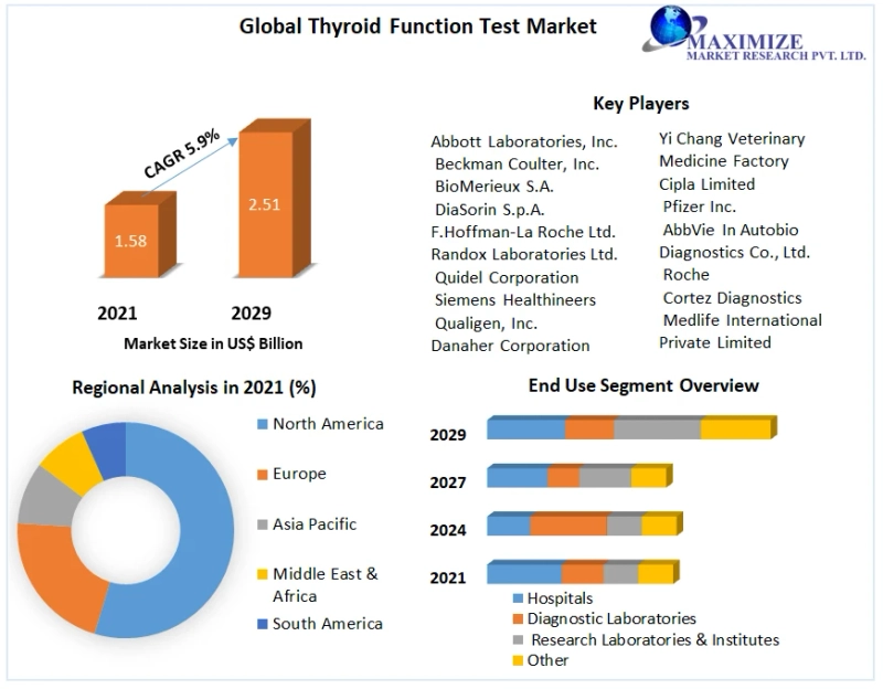 Global Thyroid Function Test Market Size, Status, Growth | Industry Analysis Report 2029