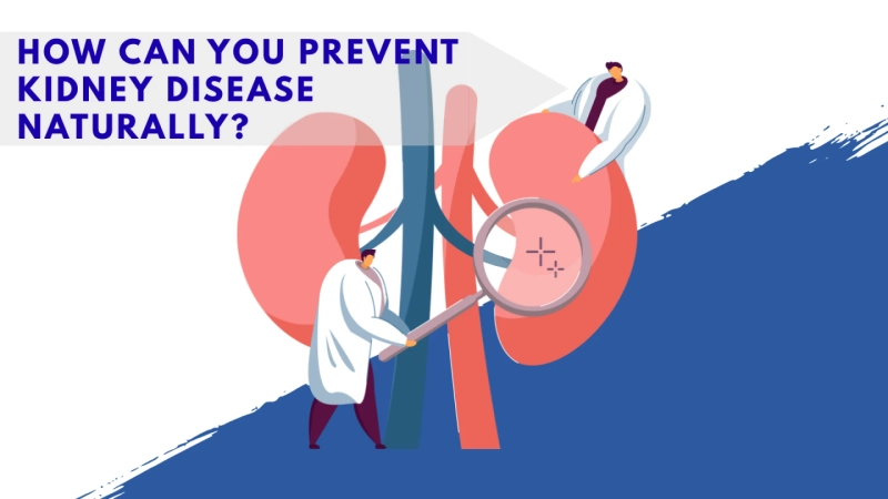 How Can You Prevent Kidney Disease Naturally?