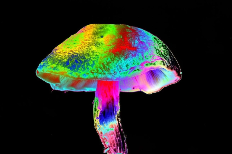 Everything About Psychedelic Drug And How It Works