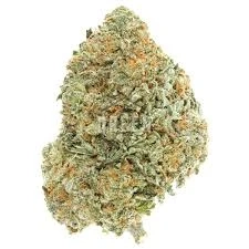 What Is AAAA Weed? A Beginner’s Guide to Premium Cannabis Grades