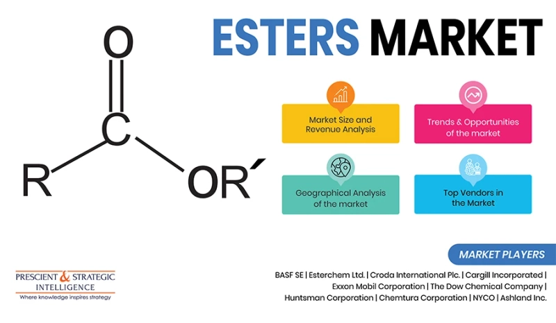 Esters Unleashed: Market Trends and Versatile Applications