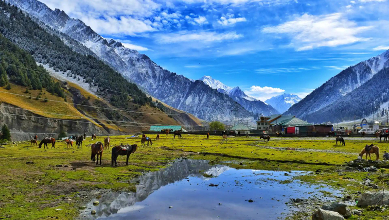 Mesmerizing Beauty of Kashmir Tour Packages with MyTripNavigator!
