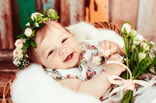 Favorite Newborn Flower Arrangements