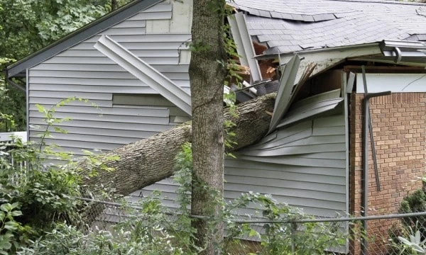 Storm Damage Restoration in Glennville, Georgia