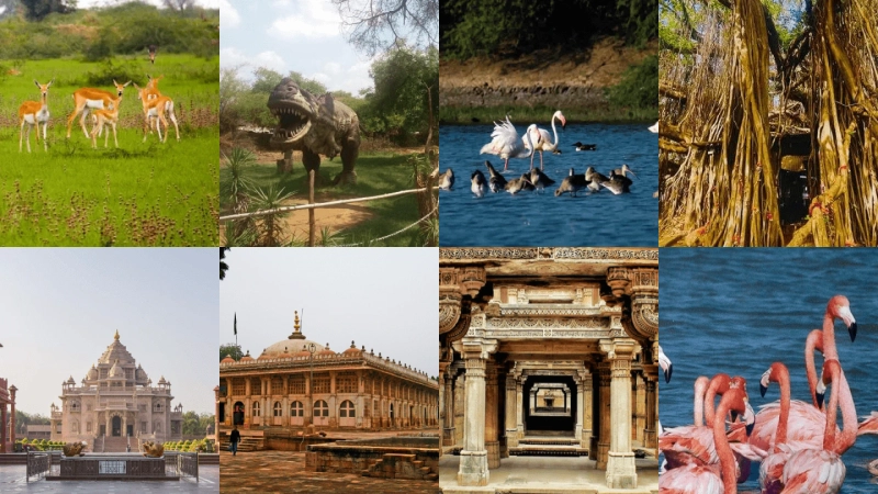 Ahmedabad Sightseeing Guide for First-Timers