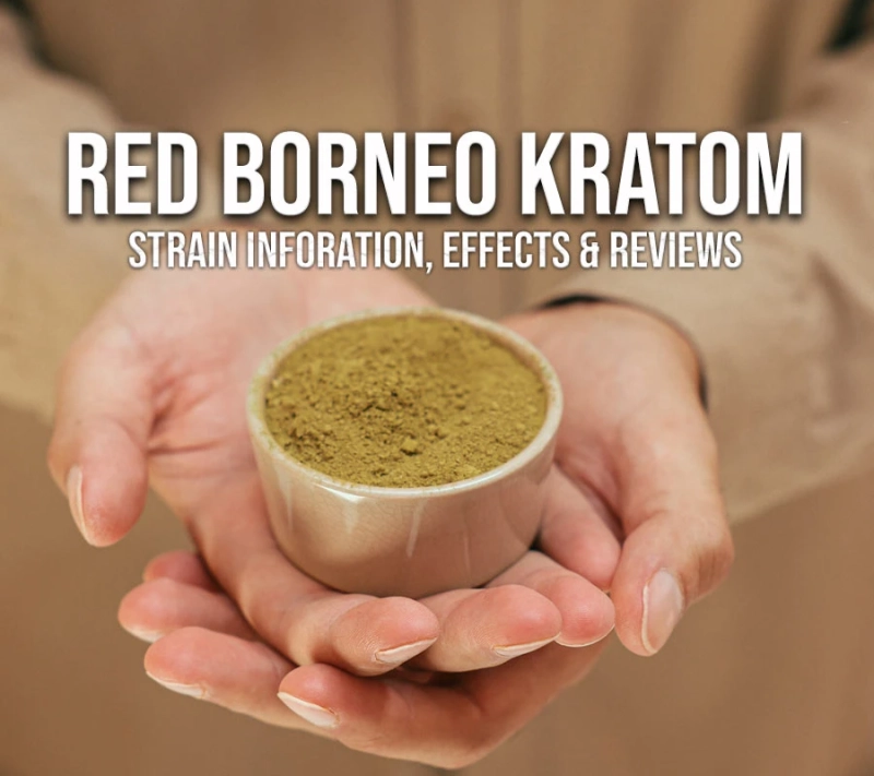 Red Borneo Kratom - Strain Information, Effects, & Review