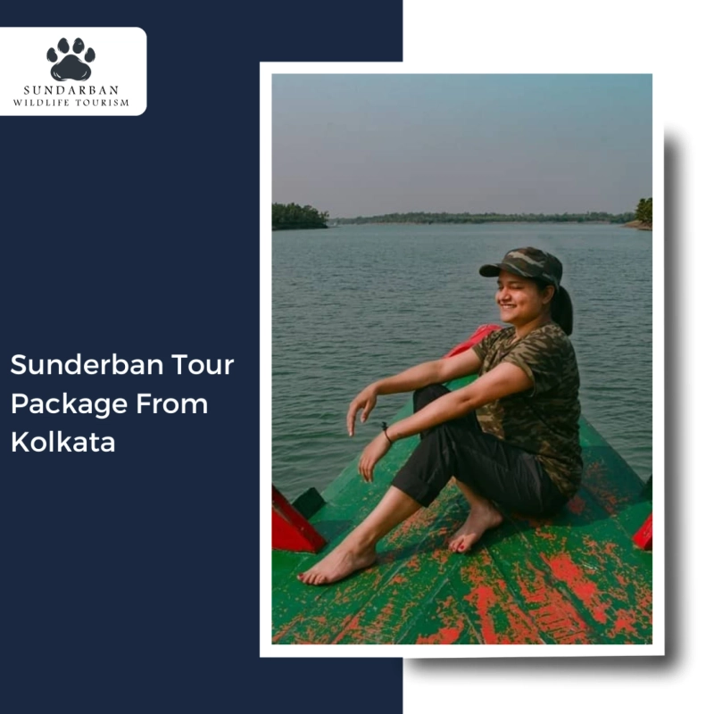 Discover the Best Sundarban Packages with Sundarban Wildlife Tourism