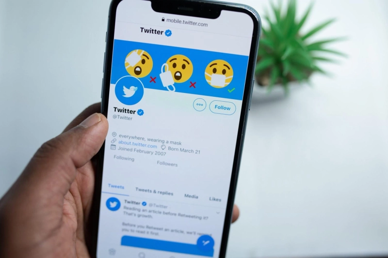 How To Grow Your Twitter Following In Quick Time?