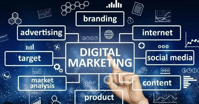 Digital Marketing Courses in Bangalore