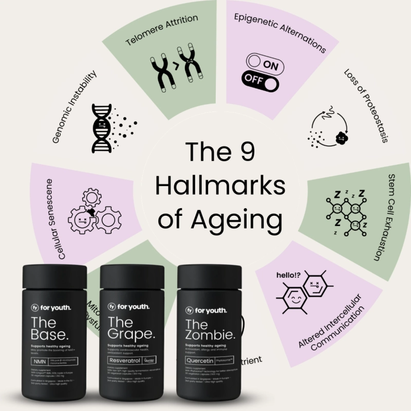 Enhance Your Daily Life with The Unwind Magtein™: A Comprehensive Guide to Usage