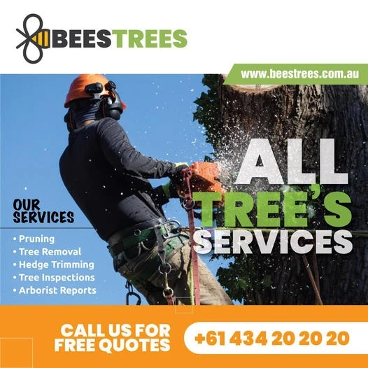 High-Quality Tree Lopping and Trimming Services near You