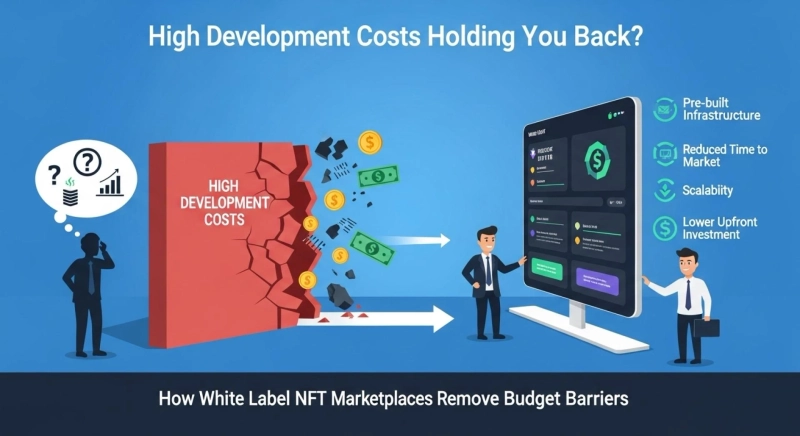 High Development Costs Holding You Back? How White Label NFT Marketplaces Remove Budget Barriers
