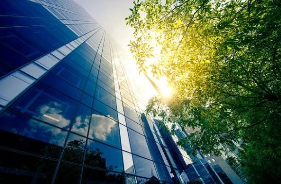The 3 Point Strategy to Finalize an Environmental Consultancy