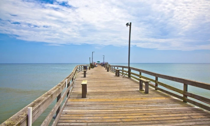 Fishing Pier Live: The Impact of Beach and Pier Webcams on Anglers, Surfers, and Tourists