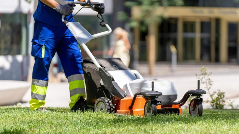 What a Landscaping and Lawn Care Contractor Does to Prevent Lawn Problems