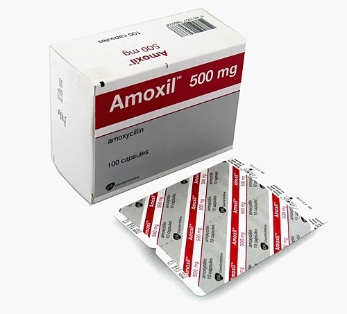 The Garden of Your Second Brain: A Neurosurgeon on Amoxil's Unintended Consequences