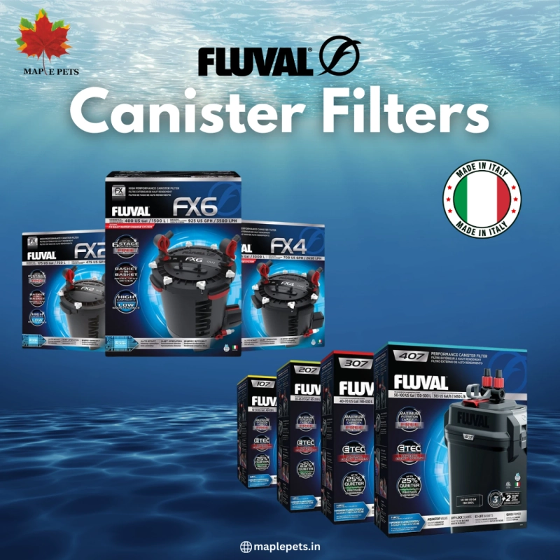 Fluval Canister Filters: FX Series & 07 Series – Powerful Filtration for Healthy Aquariums