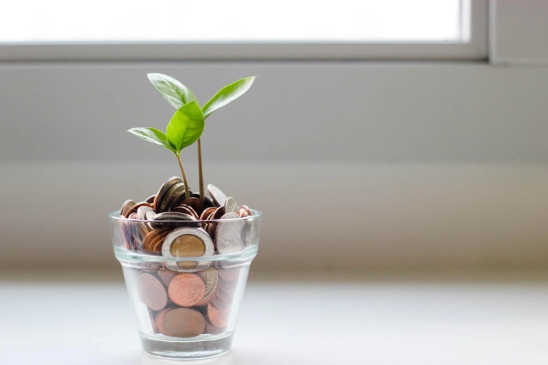 What is Digital Growth Strategy?