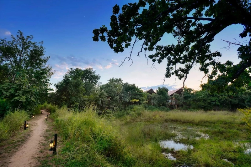 Travel Itineraries: 3-Day Wildlife Trip in Pench & Nearby Attractions