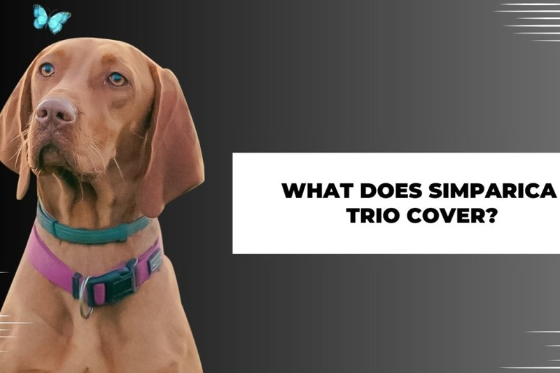 What Does Simparica Trio Cover?