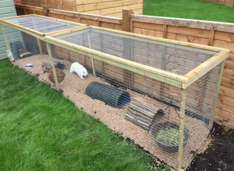 Indoor Rabbit Runs: Smart Solutions for Apartment Living