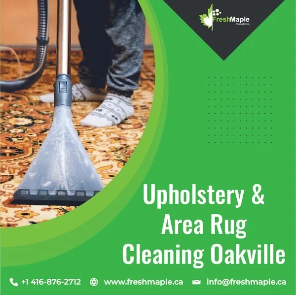 Upholstery & Area Rug Cleaning Oakville: Importance of your place keeping Clean