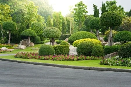 A Guide to Choosing the Right Commercial Landscaping Contractors in San Diego