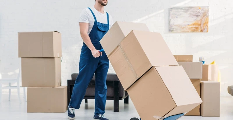 Professional Mover and Packer in Ajman